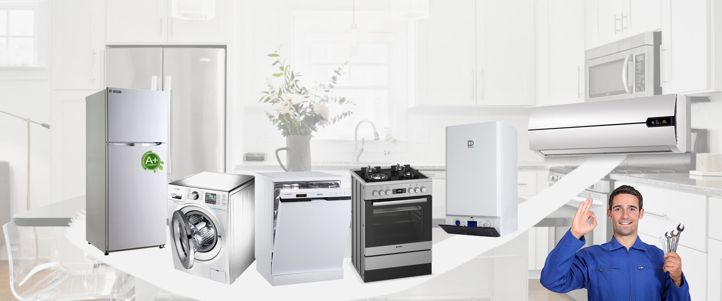 Poligon Dominox Servisi
